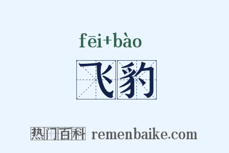 飞豹是什么意思的图片
